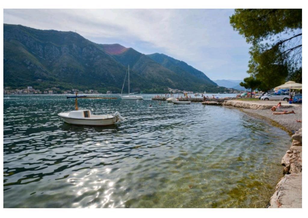 Garden Apartmant Near Sea Kotor Bagian luar foto
