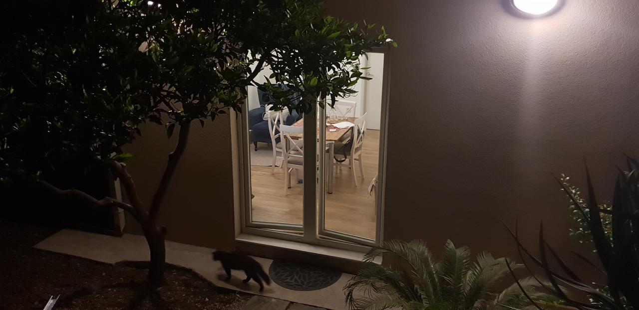 Garden Apartmant Near Sea Kotor Bagian luar foto
