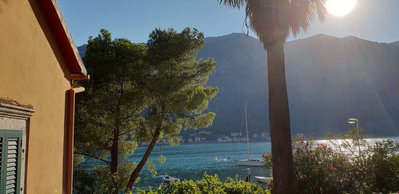 Garden Apartmant Near Sea Kotor Bagian luar foto