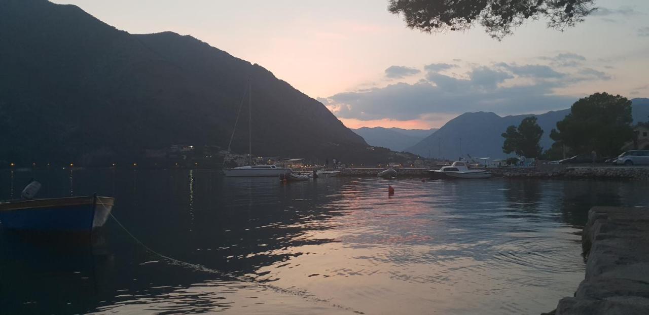 Garden Apartmant Near Sea Kotor Bagian luar foto